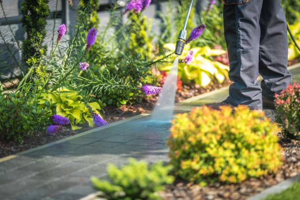 Best Parking Lot and Garage Cleaning  in Carlstadt, NJ